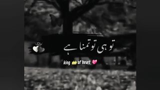 Nasha thora sa hogaya he