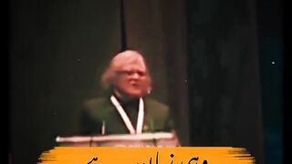 Wohi zuban py hy