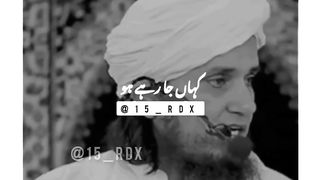 Funny videos
