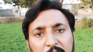 شجر کاری مہم سر سبز پاکستان