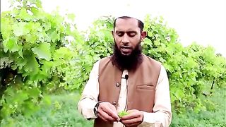 Islamic video