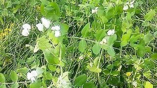 Hello everyone good friends