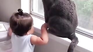 Baby Play With Cat | Cat Getting angry #cat #baby #viral #fyp #animals