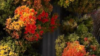 Beautiful road ????️????