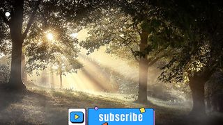 Morning Sunrise Music For Positive Energy, Yoga, Meditation, Good Vibes, Healing, Relaxing. NEW 2023