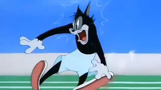 Tom and Jerry cartoon part 1