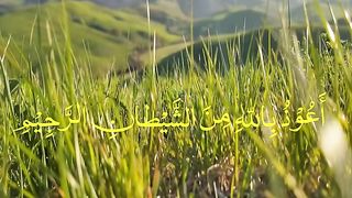 Surah Al-Baqarah - سورة البقرہ  Verses 8-10