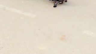 Bicke accident