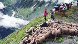Pakistans beauty
