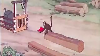 Funny Cartoon