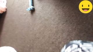 ANIMALS FARTS FUNNY VIDEO