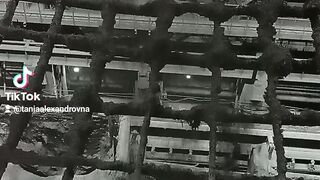 Концентрат