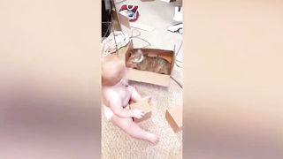 Baby And Cat Fun And Cute #5 - Funny Baby Videos