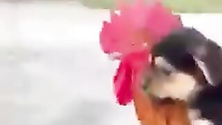 Вещи меня вези