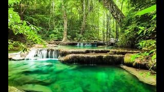 Звуки природы, шум леса, пение птиц / sounds of nature, birdsong, forest noise
