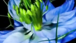 Цветочное вдохновение!