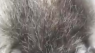 Спим) с енотом