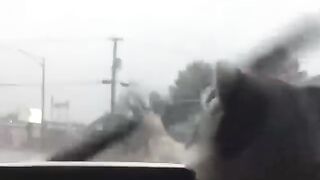 Знакомьтесь с самым крутым енотом