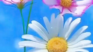 Хочу пожелать вам много счастья!