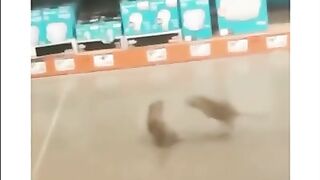 Разборки в пятерочке