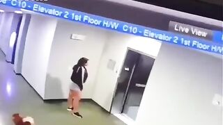 Спас собачку