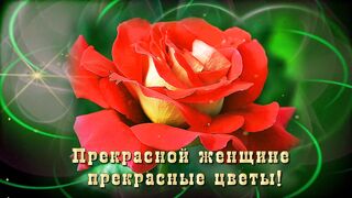 Прекрасной женщине прекрасные цветы