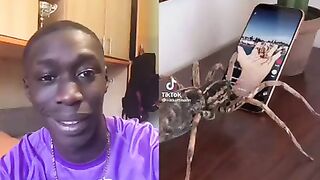 Reaction khaby #TikTok#shorts