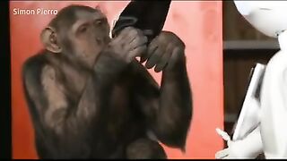 Reaction Monkey to magic????????#Magic#TikTok#shorts