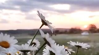 Красота природы
