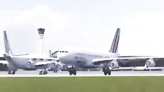 Птичка 2