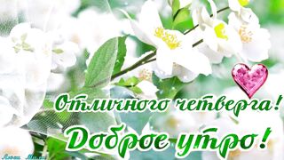 С Четвергом ! Доброе утро и хорошего дня четверга! Классного Четверга!