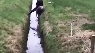 Это фиаско Баран