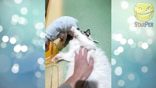 Лучшие приколы 2022 Февраль \ Best COUB \ Crazy Tik Tok \ Подборка № 28