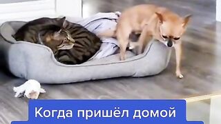 Утро встреча