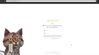 Как заработать на ICO Binance