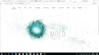 ICO MOLD.Заработок