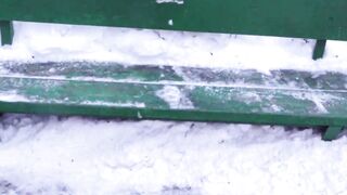 Winter cats street hungry