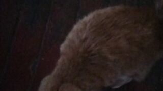 Маленькое чудо 2