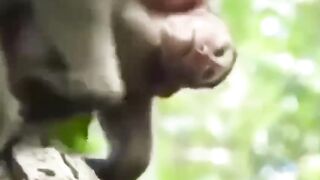 Что Это