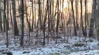 Nature 2