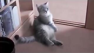 Отказать просто не возможно…