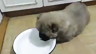 Утро понедельника!