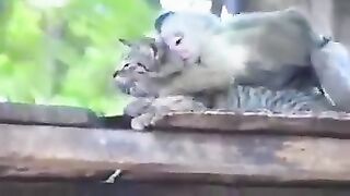 Кошка...Дай я тебя поцалую !!!…