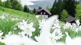 Рай под ногами.