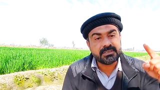 5 february poetry