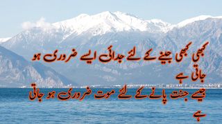 Nature Nature poetry by Waqashero please like and follow