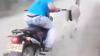Donkey speed as dollar