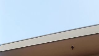 Blue sky