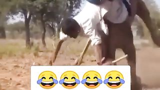 Very funny videos #tiktok #tiktokviral