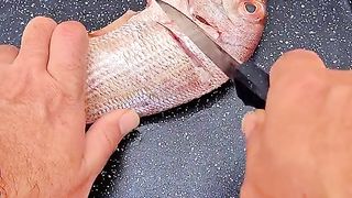 Camping and fish ???????? #fishing #fish #fishingvideo #fishcutting